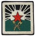 Нарукавный знак Инженерных войск Рабоче-Крестьянской Красной Армии, обр. 1920 г.